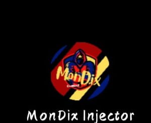 MonDix Injector