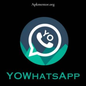 YoWhatsApp APK Download 2025 Updated v24.7.84 for Android