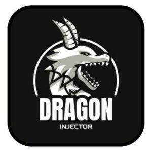 Dragon Injector