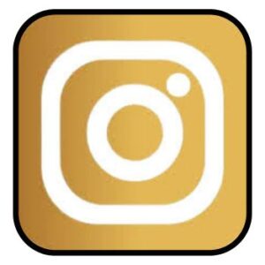 Insta Gold Download APK Latest v311.0.0.32.118 for Android