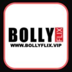 Download Bollyflix Movie app official version for Android